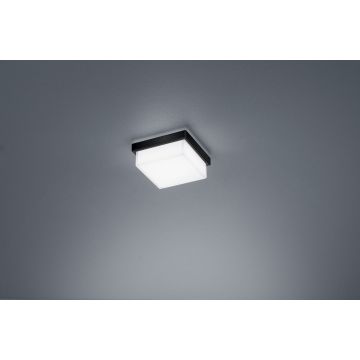 Helestra LED-Deckenleuchte COSI Schwarz matt Weiß satiniert 11 cm 15/1905.22