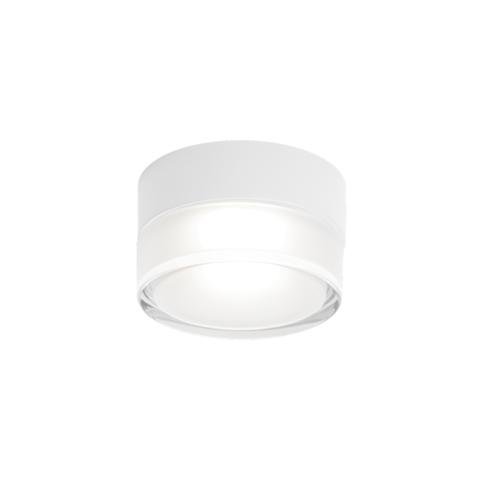 Wever & Ducré LED-Wand-/Deckenaußenleuchte BLAS OUTDOOR CEILING - WALL SURF 1.0  736387